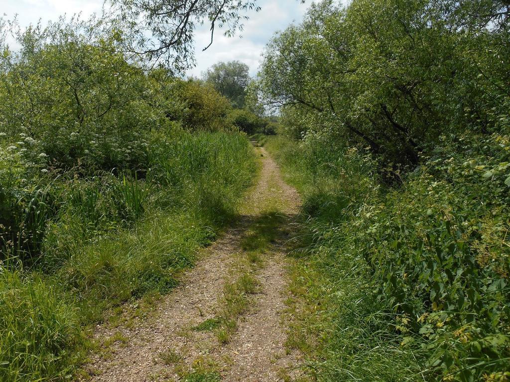 Shirley Apartments, Cozy Studio, Self Check In, 10 Min Drive To City Centre, Walking To Redbridge Train Station Southampton Bagian luar foto